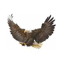 Kartal Sticker 02067