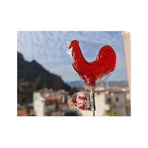 Horoz Şekeri 100 Adet Büyük Boy Lolipop 30 Gram Okul- Tatil- Kermes Çocuk Şeker