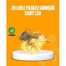Çok Renkli
