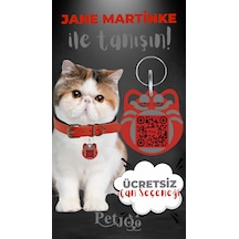 Petjoo 5.Jane Martinke Gri-Kırmızı Qr'lı Kedi Künyesi