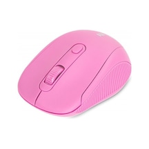 Everest SM-300 Kablosuz Optik Mouse