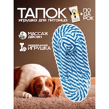 Zoolend Köpekler İçin "terlik" Diş Temizleme Oyuncağı 269556962