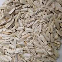 Doğal Beyaz Çerezlik Çitlemelik Ayçiçeği Çekirdek Tohumu 40 Tohum