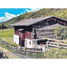 Çok Renkli