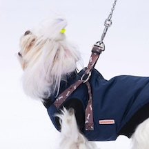 Pawstar Lacivert Nuuk Kolsuz Yelek Yağmurluk Küçük Ve Orta Irk