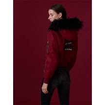 Bordo