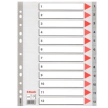 Esselte Seperatör 1-12 Rakamlı Plastik A4 100106