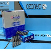 Psa Subap Gaydı Partner Iı Berlingo Iı Jumper Iı Boxer Iı Ducato Iı Scudo Iı P206 P307 2,0 Hdi 8v / 8 - Ozgayd Vg2750