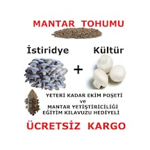2000 Adet İstiridye Ve 2000 Adet KüLür Mantarı Tohumu