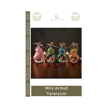 Hediye Dekoratif Cam Hediyelik Masaüstü Ofis Aksesuarı El Yapımı Şık Modern Mini Armut Teraryum