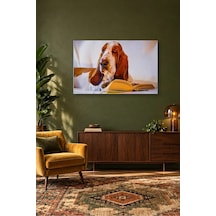 Fida Kitap Okuyan Basset Hound Canvas Tablo Çok Renkli
