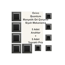 Asyagrup Ovivo Quantum Manyetik Gri İkili Set Anahtar - Priz