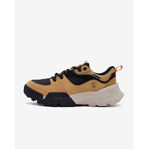 Timberland Motıon Scramble Low Lace Up Waterproof Hiking Boot Bej Bot Tb0a6a147541 Bej