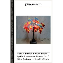Çok Renkli