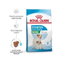 Mini Starter Mother&babydog Küçük Irk Yavru Köpek Maması 4kg Puppy Dog Food