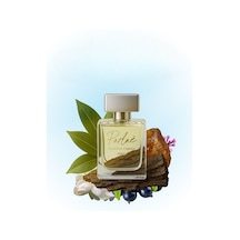 Parlae Erkek Parfüm EDP 50 ML