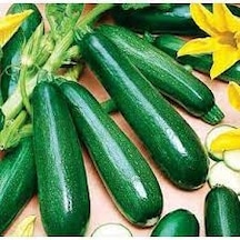 20 Adet Tohum Eko Paket Kara Kolsuz Kabak Tohumu Lezzetli Kabak
