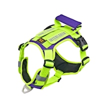 Interlaken Harness Köpek Göğüs Tasması Neon Yeşil Mor M Neon Yeşil Mor