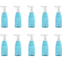 Viking Premium Banyo Temizleyici Sprey Dağ Nanesi 10 x 750 ML