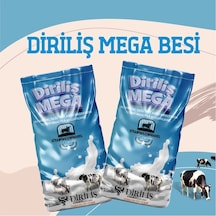 Diriliş Megabesi 25 Kg Yem Katkı