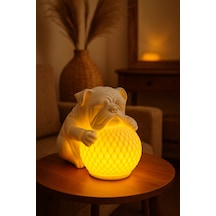 Bulldog Tasarımlı 3d Dekoratif Masa Lambası, Estetik Çocuk Odası Gece Lambası, Tealight 25 X 25 Cm Beyaz