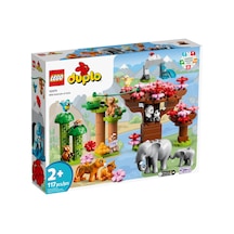 LEGO® Duplo 10974 Vahşi Asya Hayvanları 117 Parça