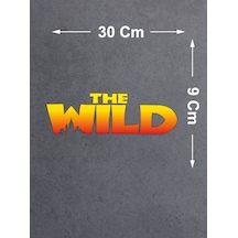 30x9 Cm
