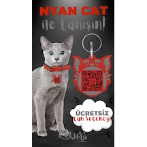 Petjoo 2.Nyan Cat Gri-Kırmızı Qr'lı Kedi Künyesi