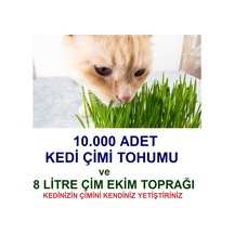 Kedi Çimi Tohumu Ve Çim Ekim Toprağı N112805