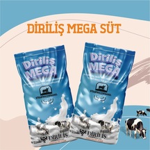 Diriliş Megasüt 25 Kg Yem Katkı