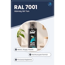 Ral 7001