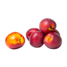 Nektarin Şeftali Fidanı 80-100 Cm