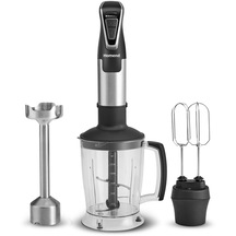 Homend Handmaid 1966H XLarge Hazneli - Çift Bıçaklı Blender Set