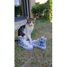 Gümüş