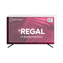 Bestekran Regal Uyumlu 43R6550FW TV Ekran Koruyucu - 43" İnç Tv
