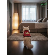 Kırmızı Yürüyen Karizma Yazılı Kedi Ve Köpek Kıyafeti Tişörtü Elbisesi Small/s/beden 1