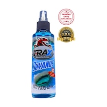 Okyanus Kokulu Ferah Oto Ev Oda Sprey Parfüm 170 Ml