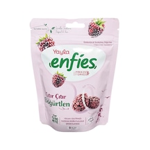 Yayla Enfies Freeze Dried Böğürtlen 15 G