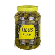 Ulus  0 Numara Kornişon Salatalık Turşu 1500 G