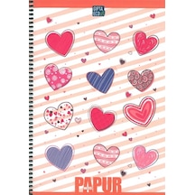 Gıpta Papur Notes Spiralli Karton Kapak Defter A4 72 Yp Kareli N11.1663