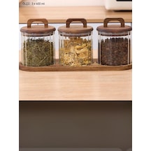 Qerhome 3'lü Borosilikat Cam Akasya Stantlı Akasya Kapaklı Çizgili Baharatlık 600 Ml ŞEffaf