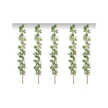 Rüzgar Yapay Çiçekçilik 2 Metre 5 Adet Bambu Yeşil