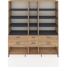 Antrasit - Atlas Çam