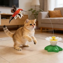 Hareketli Dönen Kuş Kedi Oyuncağı Pille Çalışır