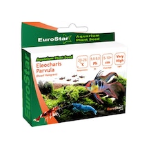 Eurostar Bitki Tohumu Muratech - 10 Eleocharis Parvula