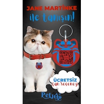 Petjoo 5.Jane Martinke Mavi-Kırmızı Qr'lı Kedi Künyesi