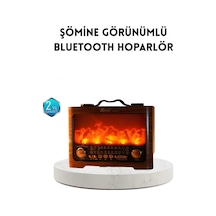 Şömine Efektli Solar Hoparlör Bluetooth 5.3 Radyo Aux Usb Tf Destekli Çok Renkli Çok Renkli