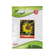 Ayçiçeği Tohum-4005