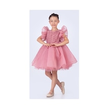 Koyu Pembe
