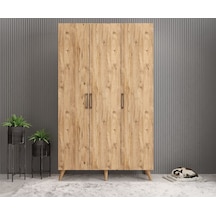Duke 3 Kapaklı Ayakkabılık Çam 120 Cm M1